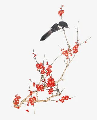 春田红梅花喜鹊春免抠