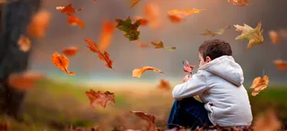 风景天空红色树叶男孩背景高清