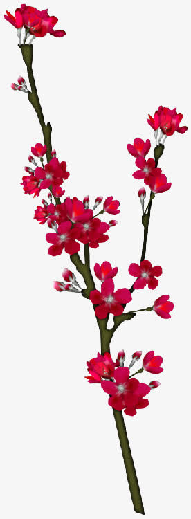 红色花朵花瓣植物素材免抠