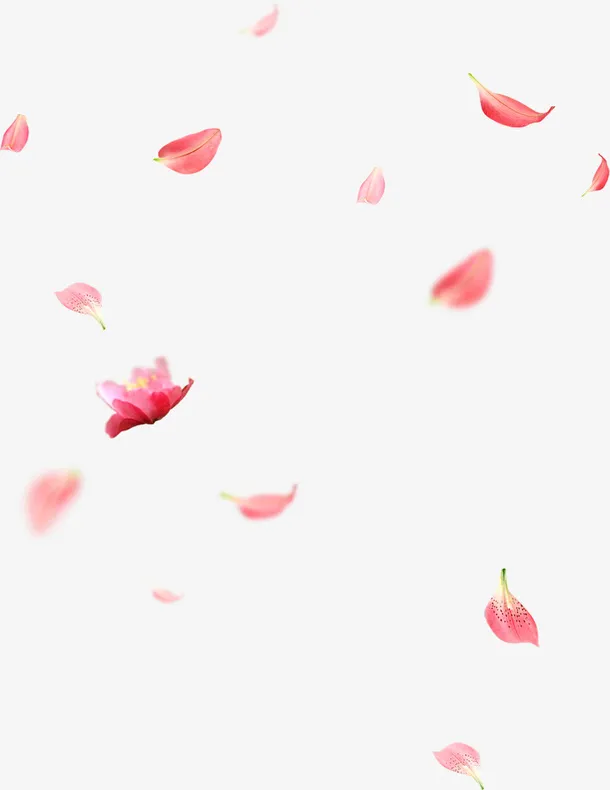 漂浮元素花瓣免抠