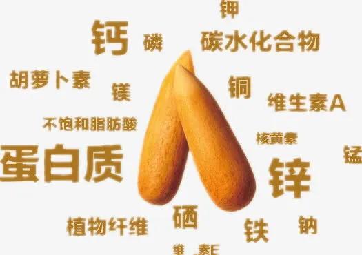 松子的益处免抠