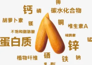 松子的益处免抠