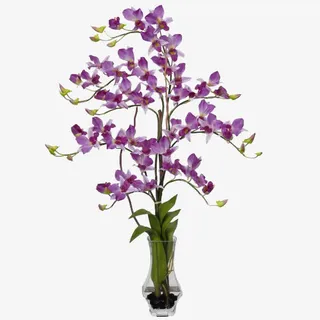 一瓶康乃馨免抠