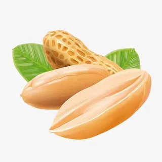 花生免抠
