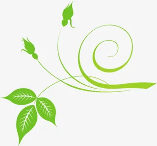 手绘绿色优雅树枝树叶免抠