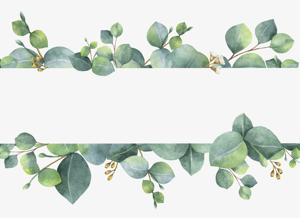 清新手绘树叶装饰图案免抠