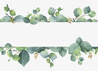 清新手绘树叶装饰图案免抠