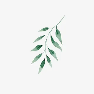 手绘水彩清新树叶素材免抠