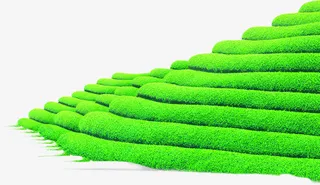 夏日植物绿色山田免抠