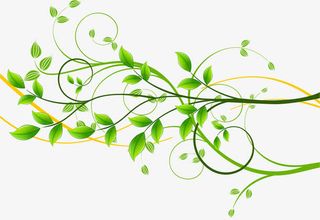 绿色树枝矢量图免抠