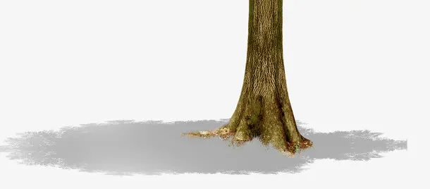 树干免抠