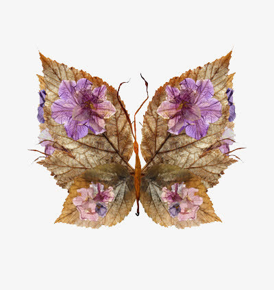 花色叶子拼成的蝴蝶结免抠