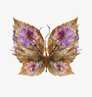 花色叶子拼成的蝴蝶结免抠