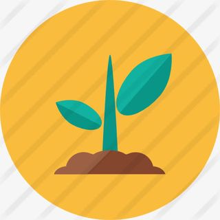 发芽图标免抠