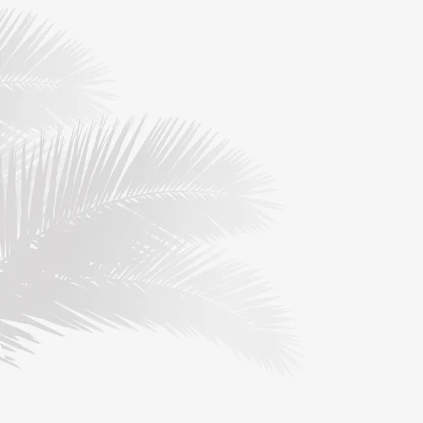 铁树装饰卡通夏季照射阴影植物元素免抠