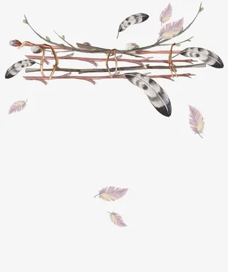 树枝上的羽毛免抠