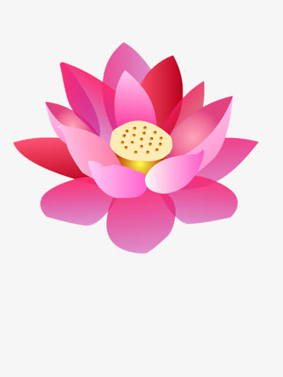 渐变的荷花图案免抠