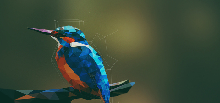 卡通鸟几何体背景高清