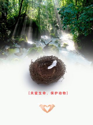 鸟窝森林保护动物公益宣传背景高清