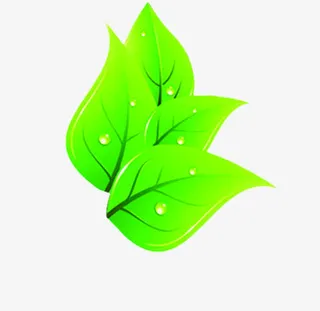 春天手绘绿叶水滴装饰免抠