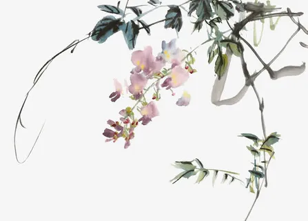 水墨画紫藤花免抠 水墨画紫藤花免抠