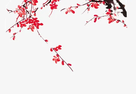 梅花树枝免抠