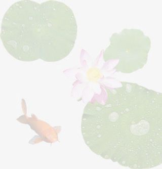 中国风荷花模糊树叶免抠