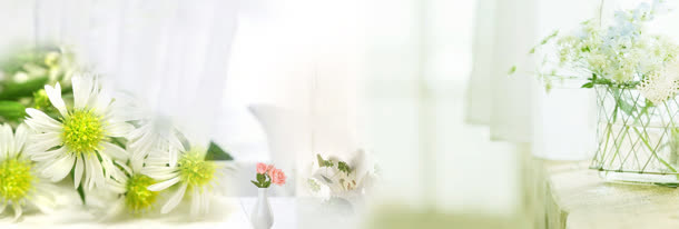 唯美花瓣免抠