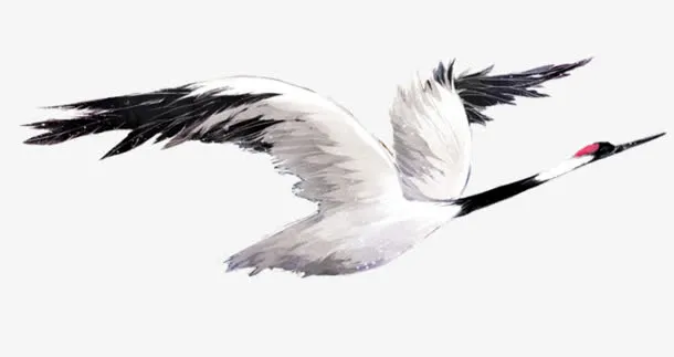 飞翔的丹顶鹤免抠