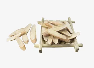 白芍中药材切条免抠