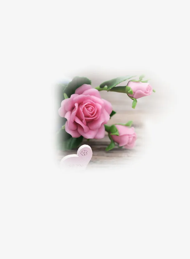 春天踏青玫瑰花粉色玫瑰花免抠