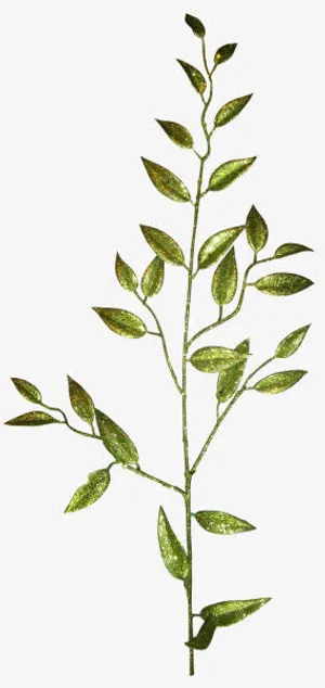 金叶子金树枝免抠