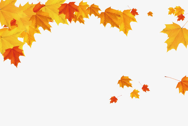 秋天落叶免抠