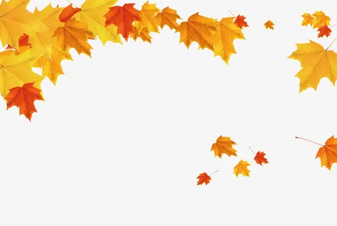 秋天落叶免抠