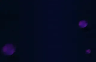 紫色不规则远点背景素材