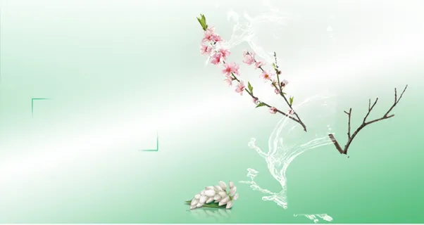 梅花浅绿色淡雅化妆品促销海报背景素材高清