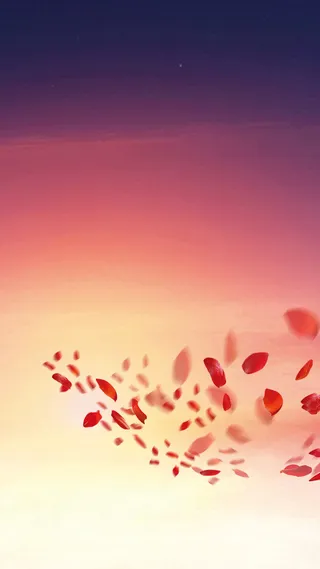 红色花瓣H5背景高清