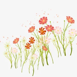 鲜花装饰免抠