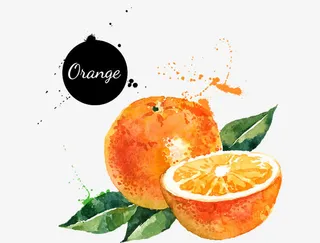 彩绘水果画免抠