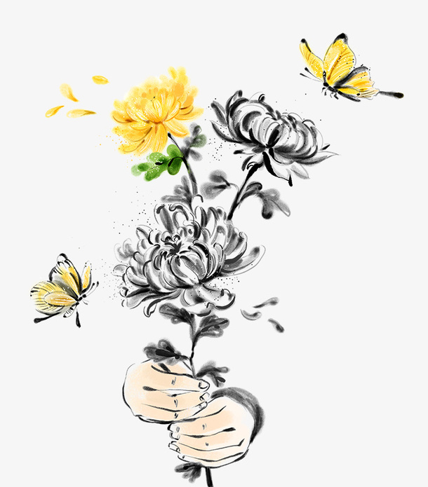 手绘菊花免抠免抠