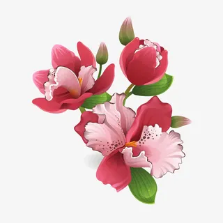 花，花朵，淘宝素材，花絮，矢量免抠