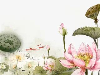 荷花莲蓬锦鲤免抠