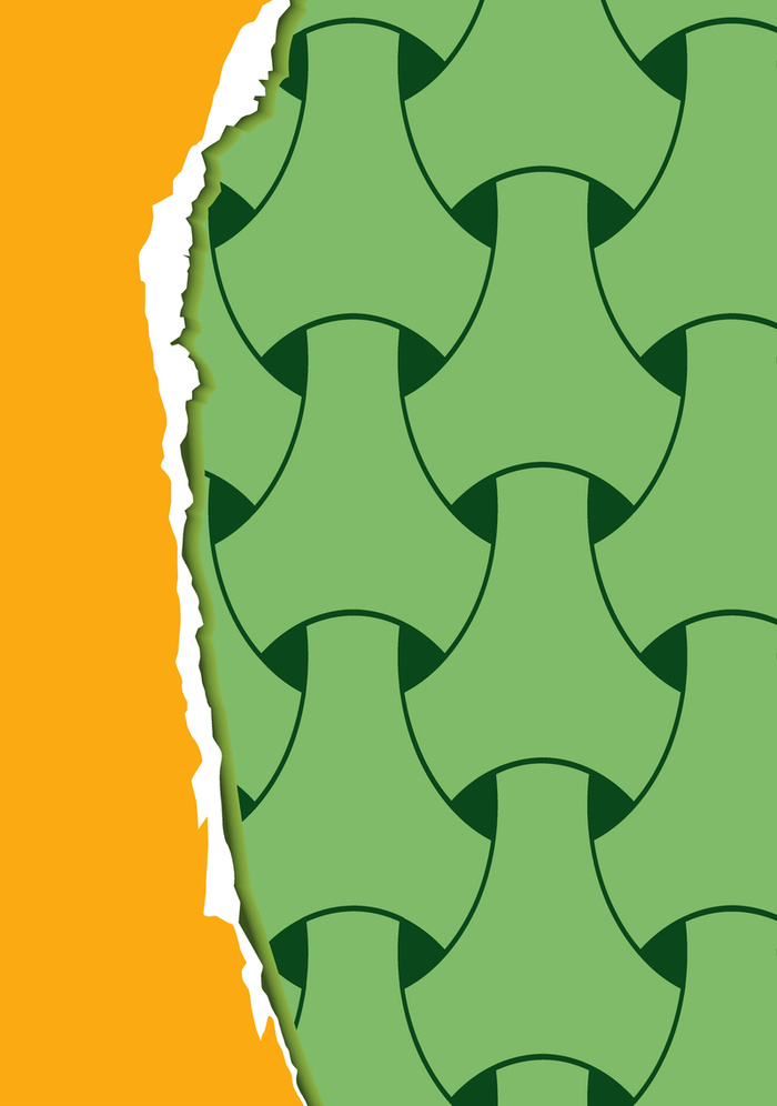 绿色植物纹理空白裂痕褶皱封面背景高清