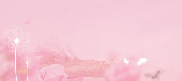 浪漫花瓣背景高清