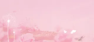 浪漫花瓣背景高清