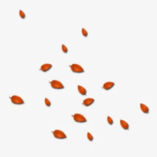 散落漂浮落叶图免抠