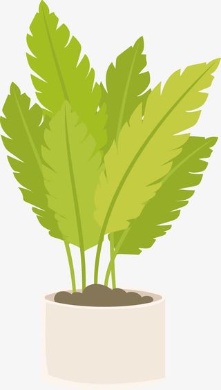 大片树叶绿植盆栽免抠