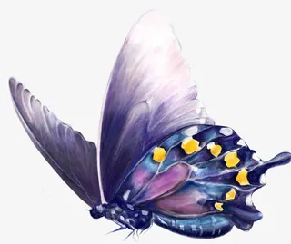 紫色蝴蝶梦幻色彩免抠