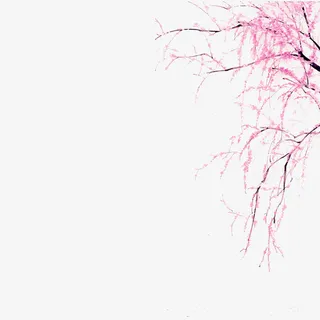 手绘唯美春季踏青桃花免抠