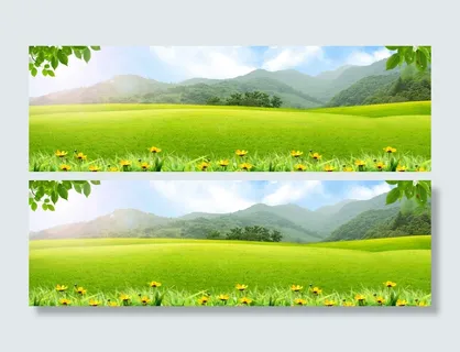 春天景色渐变绿色banner背景高清 春天景色渐变绿色banner背景高清